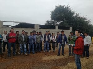 Servicios Agrícolas Meliá Perú